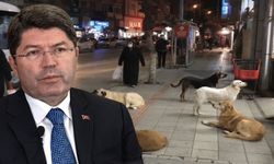 Ölümlü köpek saldırılarına görevi ihmal soruşturması