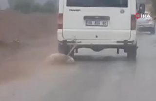 Köpeği minibüsün arkasında sürüklemişti: Dehşet veren görüntülerdeki sürücü tespit edildi!