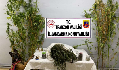 Trabzon'da uyuşturucu operasyonu: 3 gözaltı