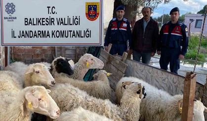 Jandarma koyun satışı aracılığıyla EFT dolandırıcılığı yapanları yakaladı