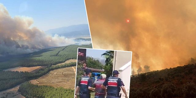 Milas'ta 160 hektar alanın küle dönmüştü: Orman yangınını çıkaran zanlının 18 ayrı suç kaydı ortaya çıktı