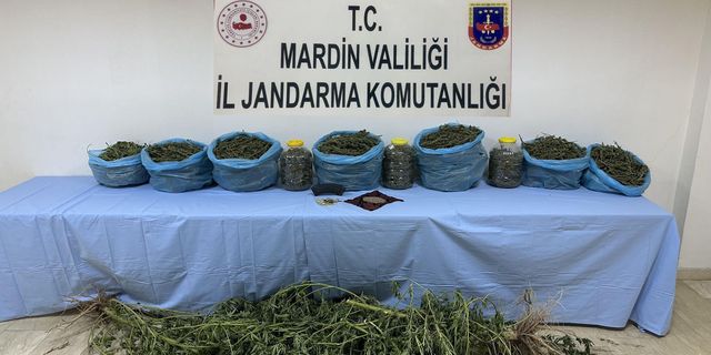 Mardin'de uyuşturucu operasyonu: 1 tutuklama
