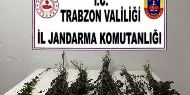 Trabzon'da uyuşturucu operasyonu: 2 gözaltı