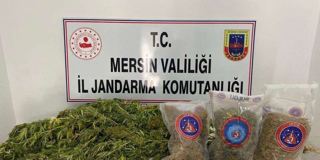 Mersin'de uyuşturucu operasyonu: 3 gözaltı