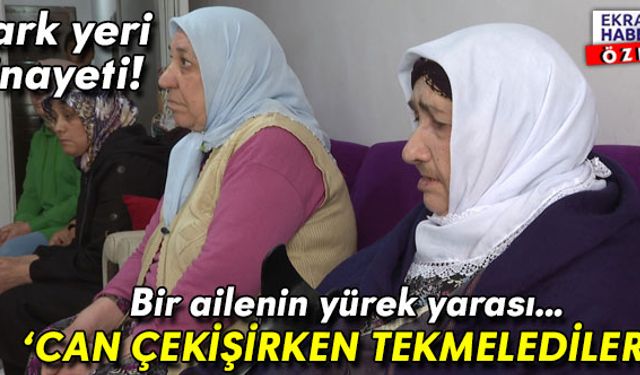 Park yeri cinayeti! Katledilen Canan Çimen’in ailesi: Can çekişirken tekmelediler