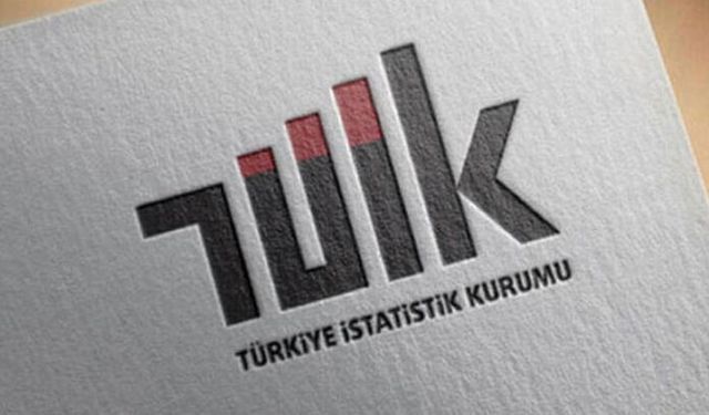 TÜİK: Lisans mezunlarında istihdam oranı yüzde 71,7