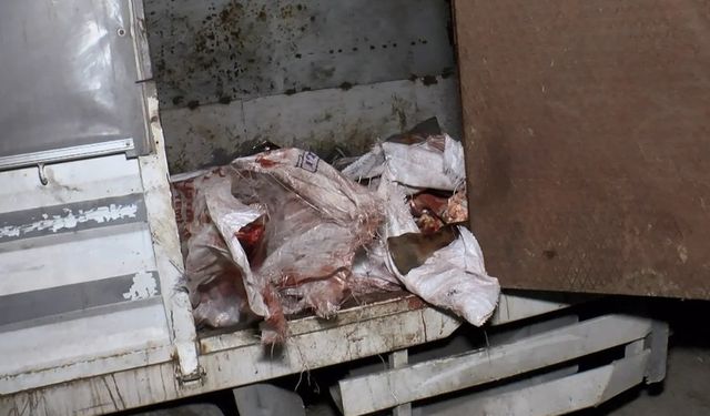 Sultangazi'de at eti baskını: Kamyonetten kilolarca at eti çıktı