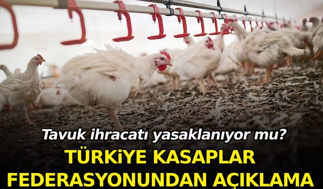 Türkiye Kasaplar Federasyonundan tavuk ihracatının yasaklanmasına ilişkin açıklama