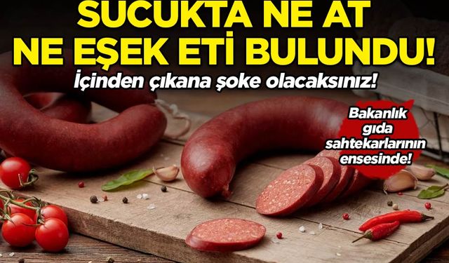 Bakanlık tek tek ifşa ediyor! Sucukta ne at ne eşek ne dana eti bulundu: Çıkana şoke olacaksınız