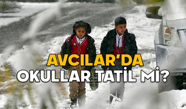 AVCILAR’DA OKULLAR TATİL Mİ SON DAKİKA? 11 Şubat 2025 İstanbul Kaymakamlığı’ndan kar tatili kararı