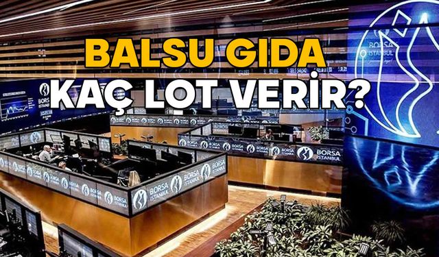 BALSU GIDA HALKA ARZI 2025: BALSU hisse fiyatı ne kadar? Balsu Gıda kaç lot verir?