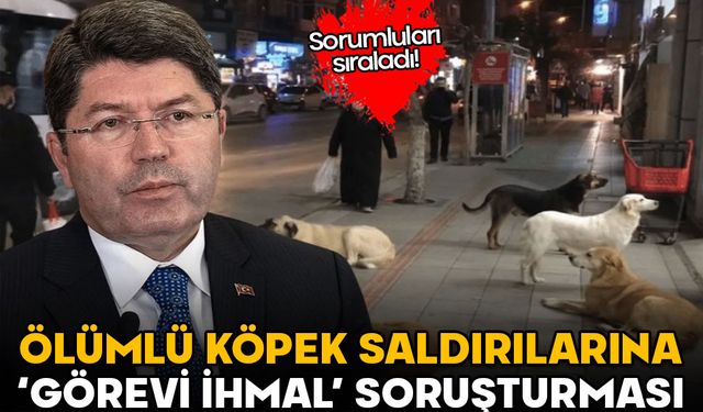 Ölümlü köpek saldırılarına görevi ihmal soruşturması