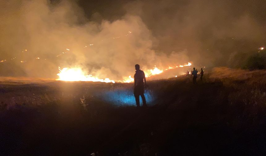 Şanlıurfa’da ormanlık alandaki yangın söndürüldü