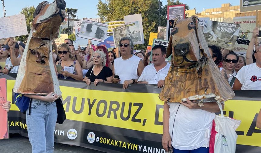 Başıboş sokak hayvanları protestosunda ilginç görüntüler: Köpek kılığına girdiler!