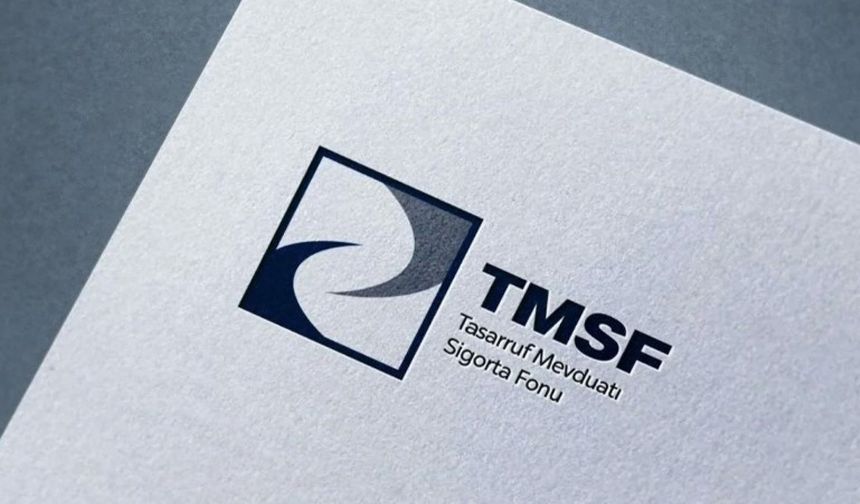 FETÖ soruşturmalarında TMSF'ye devredilen 643 şirket eski sahiplerine iade edildi