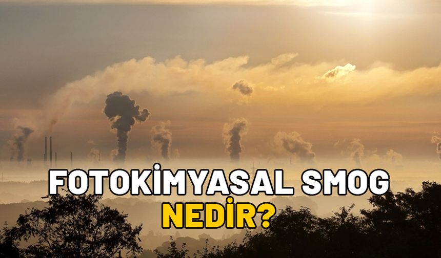 Fotokimyasal smog nedir? Fotokimyasal duman etkileri neler, zararlı mı?