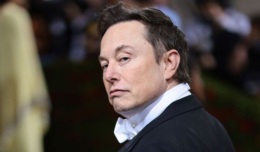 TikTok'u satın alacak mı? Elon Musk'tan yanıt geldi