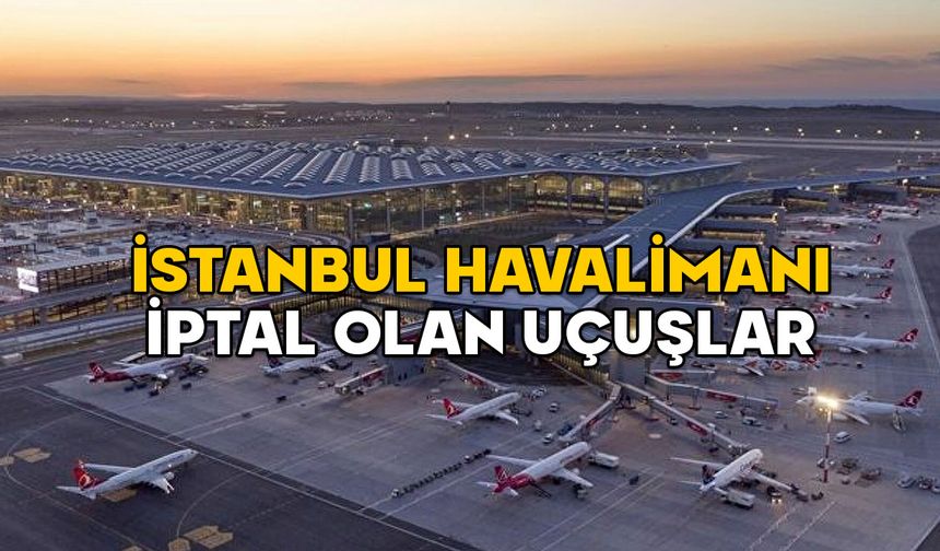 İSTANBUL HAVALİMANI İPTAL OLAN UÇUŞLAR 19 ŞUBAT: Kar nedeniyle hangi uçak seferleri iptal edildi?