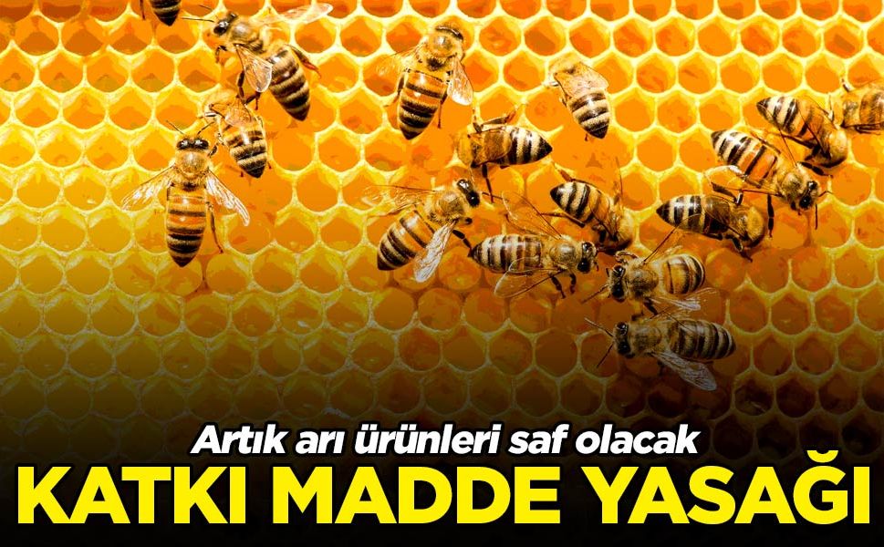 Arı sütü ve arı polenleri katkısız satılacak