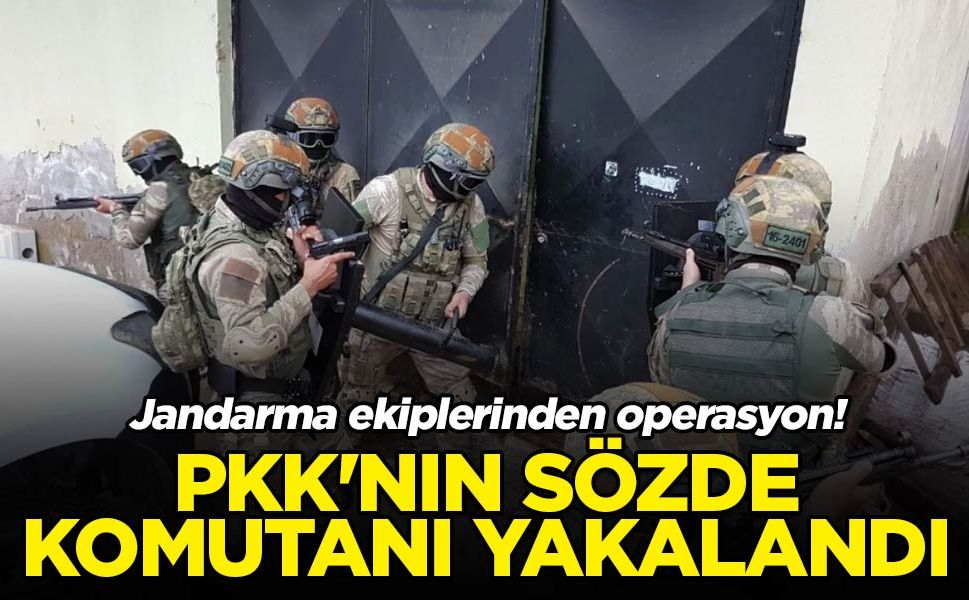 Terör örgütü PKK’nın sözde komutanı yakalandı