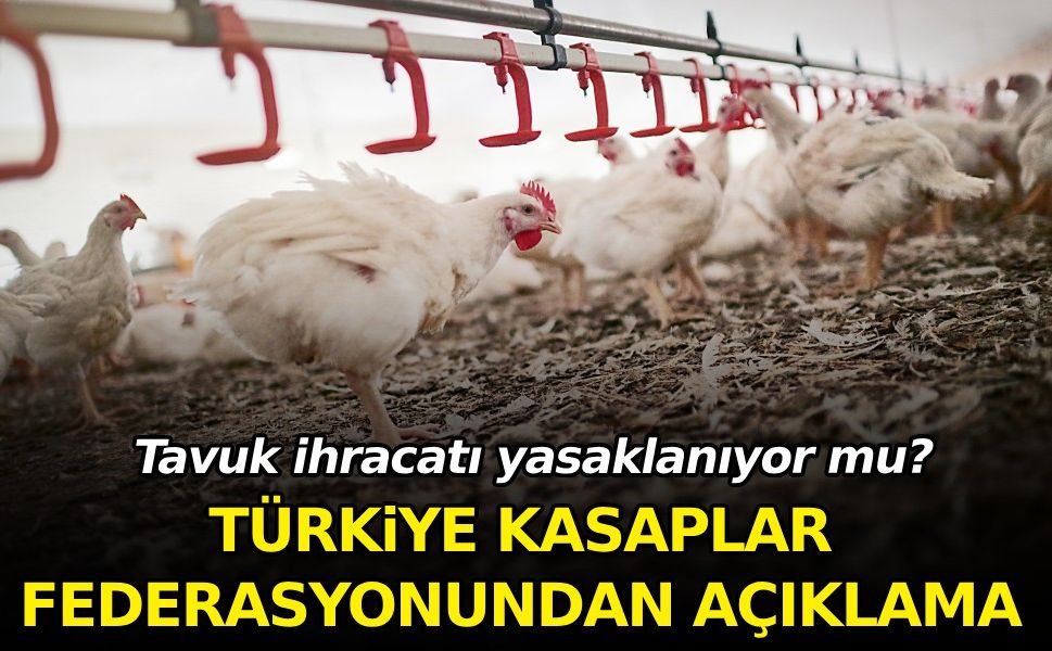 Türkiye Kasaplar Federasyonundan tavuk ihracatının yasaklanmasına ilişkin açıklama