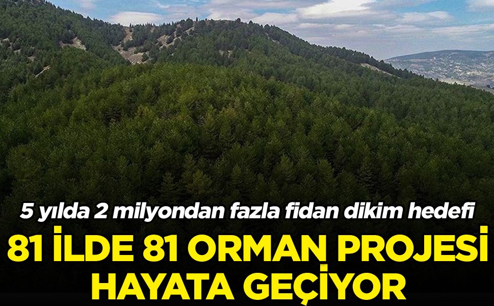 "81 İlde 81 Orman" projesi yeniden hayata geçiyor