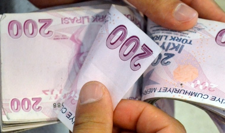 turk lirasi banknot para tl (8)