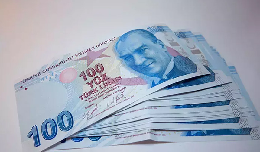 turk-lirasi-para-banknot-2