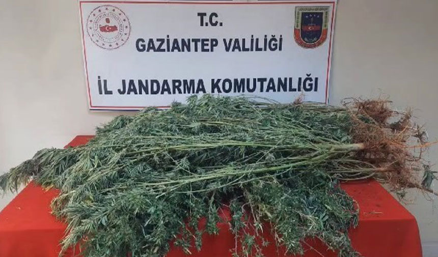 jandarma-gaziantep-operasypon-iha2