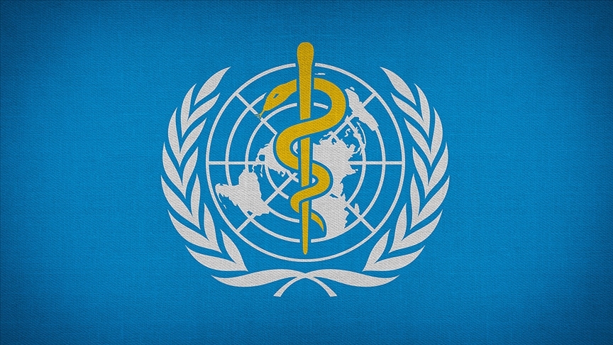 Dünya Sağlık Örgütü D S Ö 3