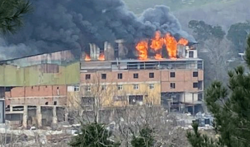 Beykoz'daki bir fabrikada yangın çıktı! Ekipler müdahale ediyor