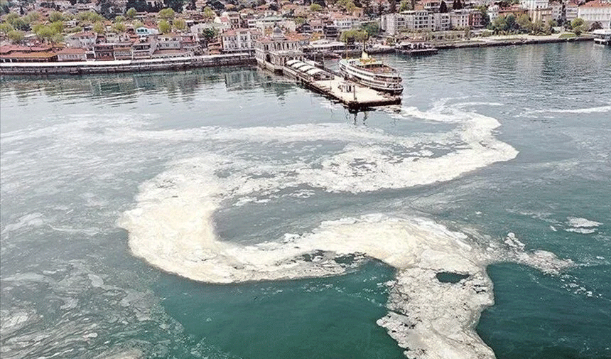 Marmara'da müsilaj tehlikesi! Sıcaklıkların artması olumsuz etkiliyor