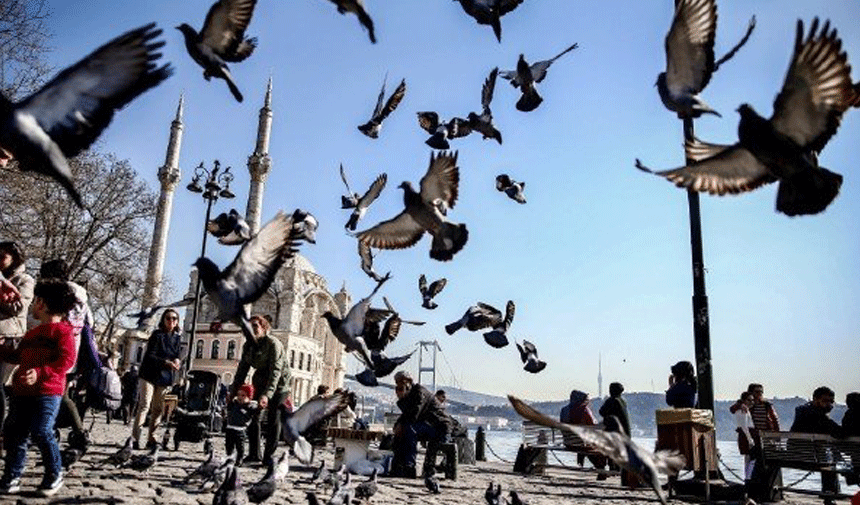 Sıcaklıklar yükseldi! İstanbul'da bahar havası hakim