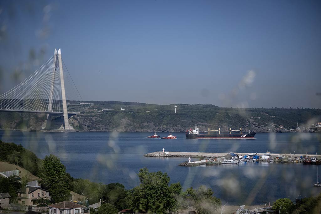 Istanbul Bogazi Trafigi Durduruldu 31052024 Aa (5)