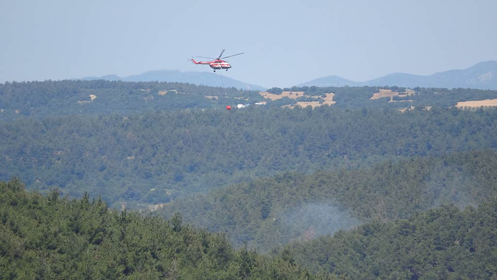 Canakkale Yapseki Orman Yangini 15062024 Iha (5)