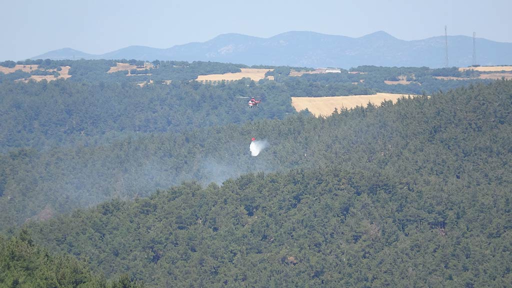 Canakkale Yapseki Orman Yangini 15062024 Iha (7)