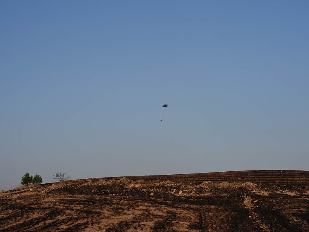 Diyarbakir Aniz Yangini 21062024 Aa (6)