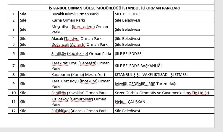 Istanbul Orman 1