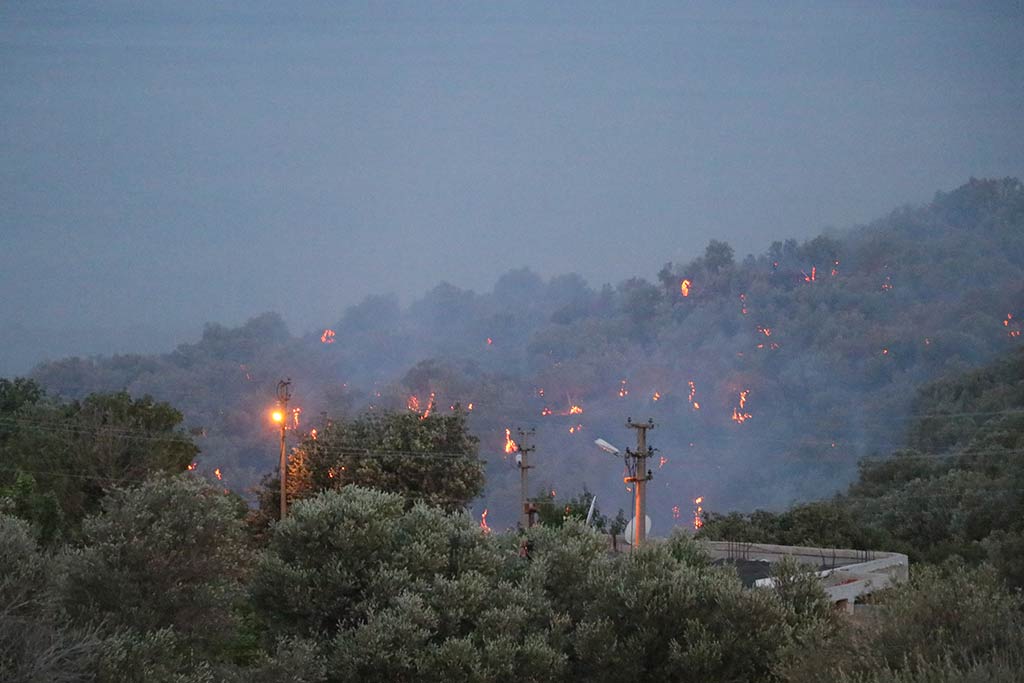 Izmir Orman Yangini 19062024 Aa (2)