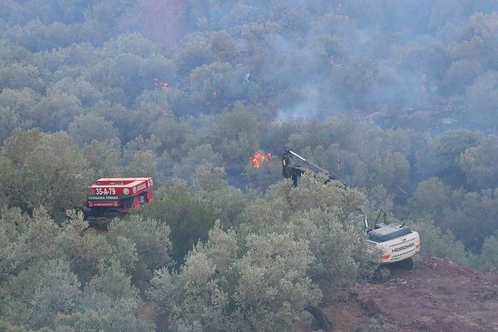 Izmir Orman Yangini 19062024 Aa (3)