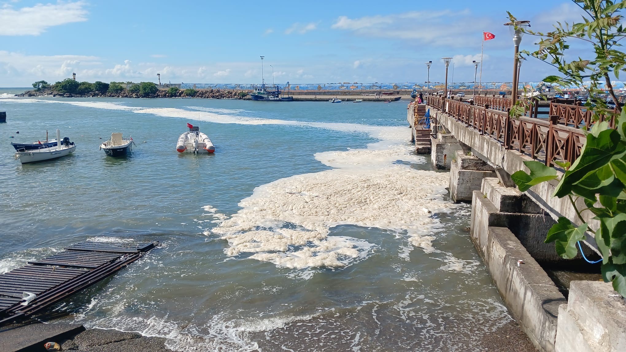 Karadeniz Duzce Musilaj 16062024 Iha2