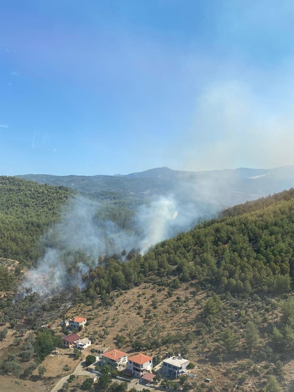 Mugla Milas Orman Yangini 19062024 Aa 1