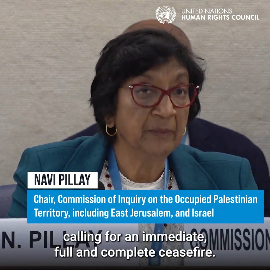 Navi Pillay Bm Sorusturma Komisyonu Baskani 19062024 1