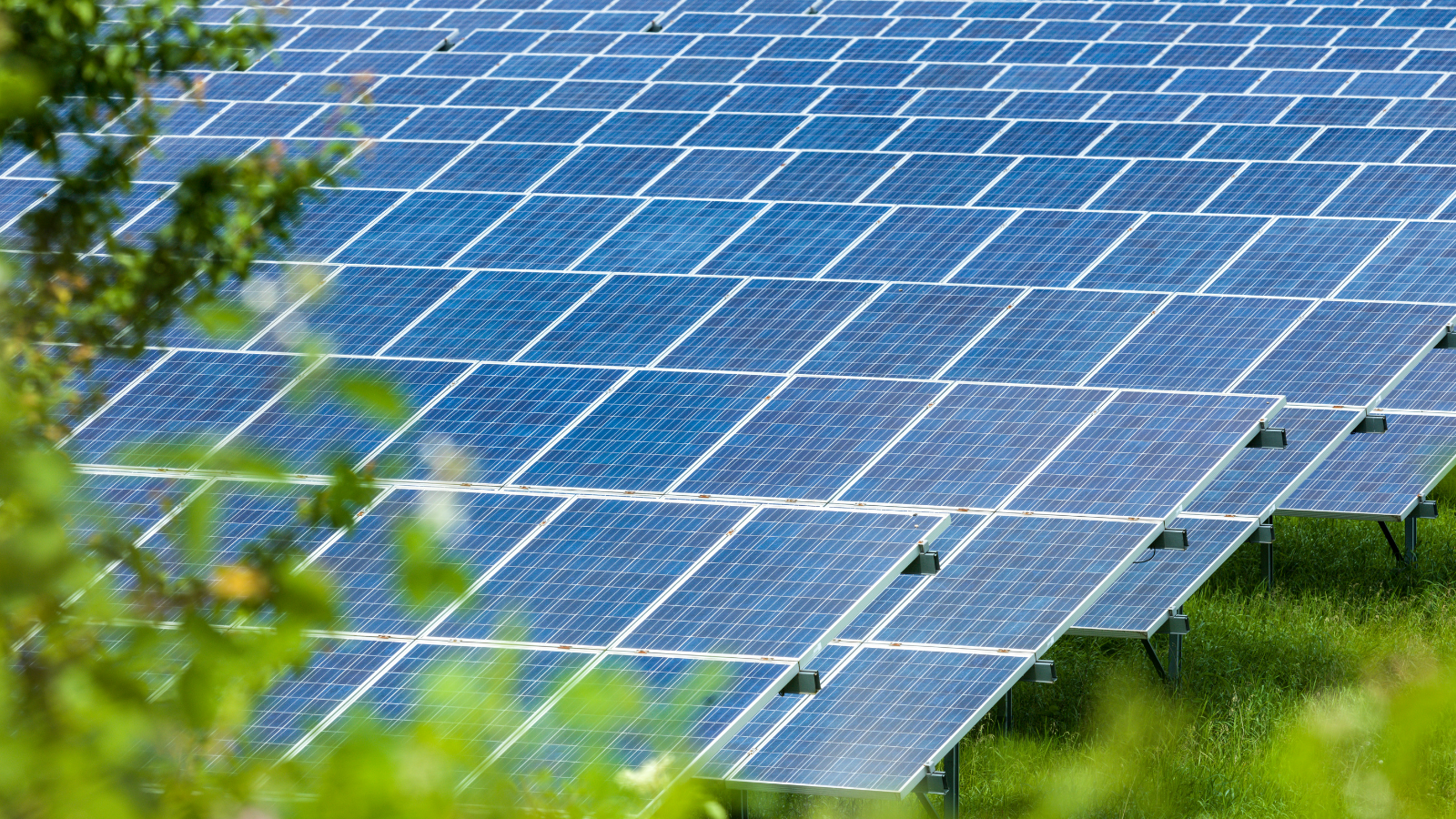 Solar Farm Scaled Gunes Enerjisi 18062024 2