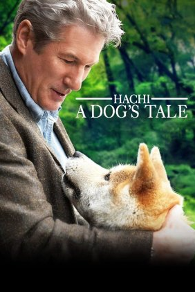 Hachi